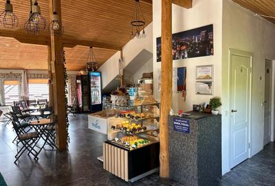 Spațiu comercial, de 110 mp, în Sălicea - 7