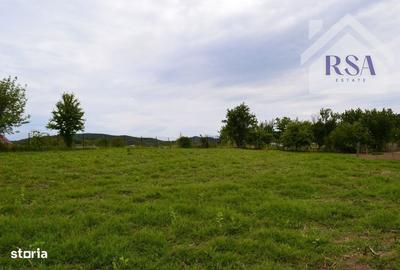 Spațiu comercial, în Budești - 8