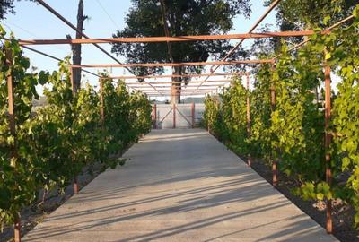 Casă cu 3 camere cu Teren 300 Mp în Horia - 16