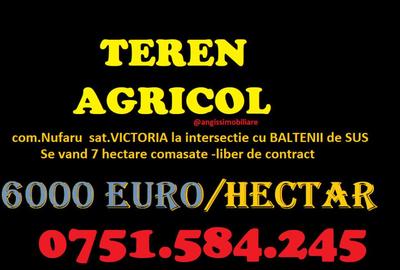Teren AGRICOL categoria A- com Nufaru sat Victoria - 1