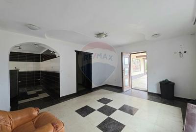 De vanzare proprietate unicat in Sascut - Bacau - 14