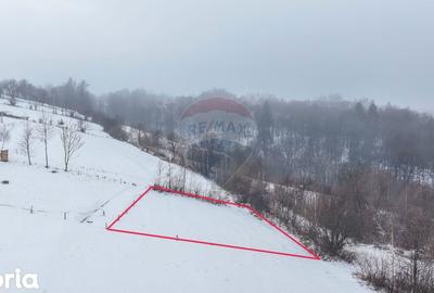 Teren de 500 mp, în Bran - 3