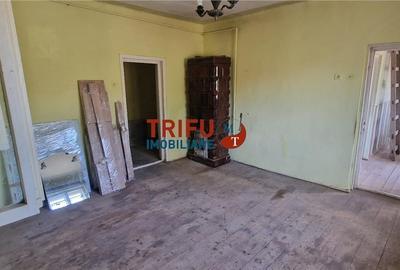 Casă de vânzare zona Cetate Schit 740 mp teren - 10