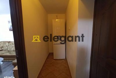 Apartament cu 2 camere semidecomandat, mobilat în Valea Rosie - 3
