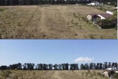 Teren de 1900 mp, în Brănești - 3