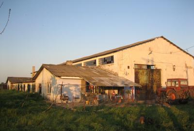 Teren intravilan 15.000 mp cu 3 hale industriale - Poarta Alba - 10