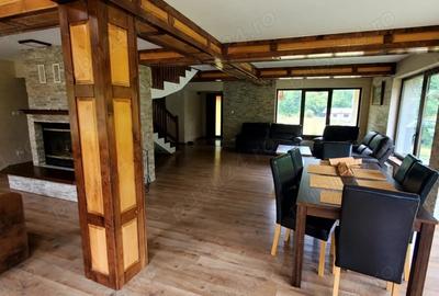 Casa de vacanta 3 niveluri P+E+M Colibita - 3