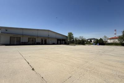 Spațiu industrial, de 5,000 mp, în Dragomirești-Vale - 3