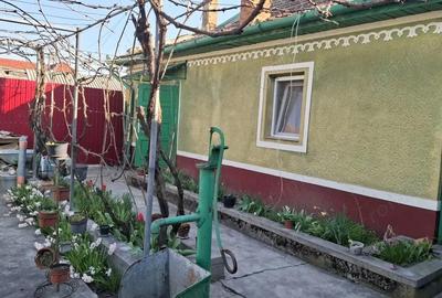Casă cu 6 camere cu Teren 2095 Mp în Nădlac - 17