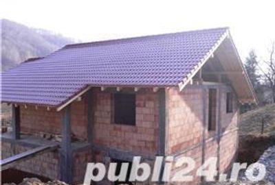 Casă cu 6 camere cu Teren 6000 Mp în Pietreni - 3