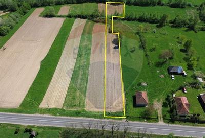 Teren Construcții intravilan de 3400 mp, în Copalnic