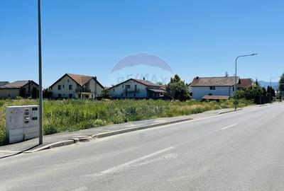 Teren intravilan 10.000 mp in Stupini, Brasov