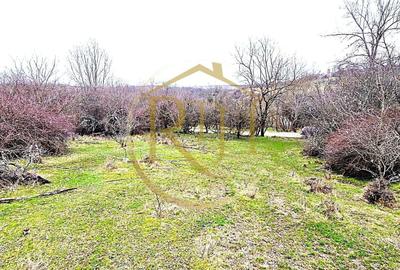 Teren agricol extravilan de 25000 mp, în Secaș - 3