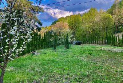 Hotel / Pensiune cu 6 camere de vanzare - 4