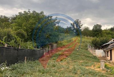 Teren de 1796 mp, în Breasta