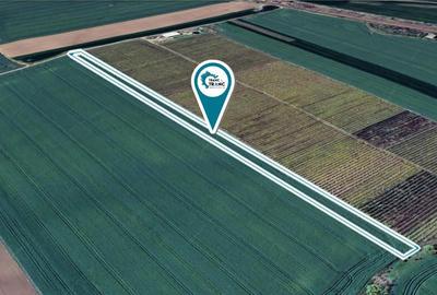 Teren agricol de 1 ha in Zimandu Nou - 2