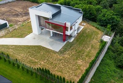 Vila cu piscina - Bistrita - 54