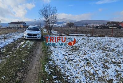 Spațiu comercial, în Micești - 5