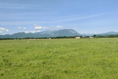 Teren Construcții intravilan de 1000 mp, în Glăjărie - 2