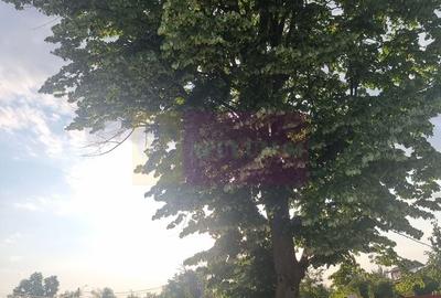 Teren Construcții intravilan de 2150 mp, în Teișori - 13