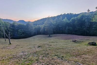 Teren de 7000 mp, în Grădiștea de Munte - 2