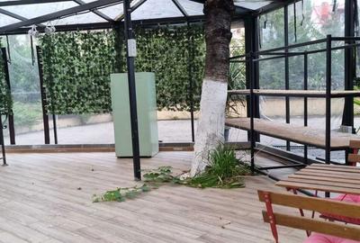 Spațiu comercial, de 119 mp, în Parcul Carol - 1