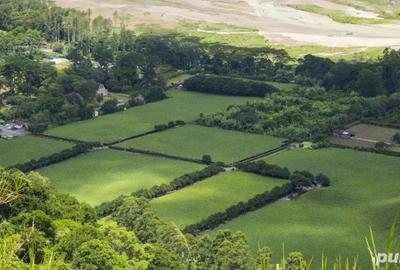 Spațiu comercial, în Central