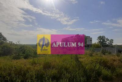 Teren de 2000 mp, în 1 Decembrie - 21