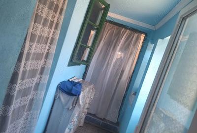 Casă cu 3 camere cu Teren 1100 Mp în Seaca de Câmp - 7