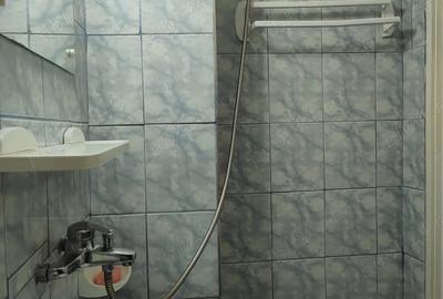 Garsoniera in apropriere de Bulevardul Unirii (zona Pia?a Alba Iulia - Pia?a Traian) - 6