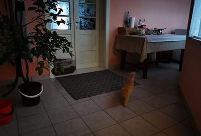 Casă cu 3 camere în Păru - 4