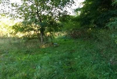 Teren de 3834 mp, în Negoiești