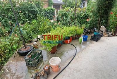 Teren de vânzare în zona centrală a orașului - 13