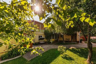 Locul in care ai vrea sa fii acasa Elisabetin - 1