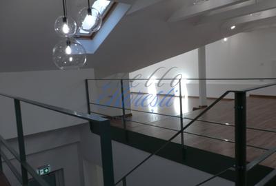 Inchiriere spatiu comercial, ultracentral, intrare din strada 204mp - 5