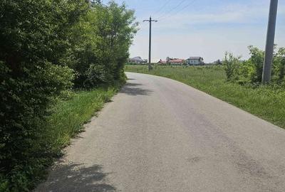 Teren de 1250 mp, în Corbeanca - 3