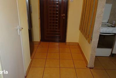 Apartament cu 2 camere semidecomandat în Gojdu - 13