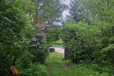 Casă cu 4 camere cu Teren 6000 Mp în Bezdead - 18