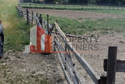 Teren Construcții intravilan de 1500 mp, în Periferie - 2