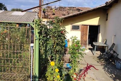 Casă cu 6 camere cu Teren 2900 Mp în Gurbediu - 10