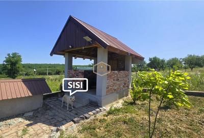 Teren Construcții intravilan de 500 mp, în Sud - 17