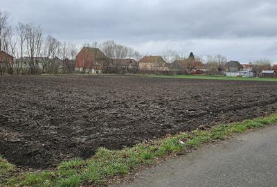 Teren Construcții intravilan de 3000 mp, în Hălchiu