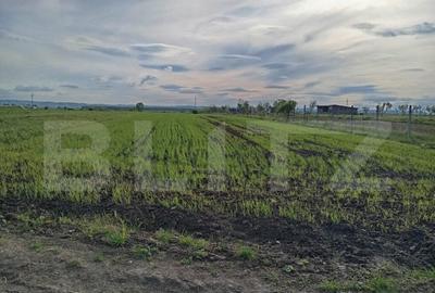 Teren intravilan cu 2 drumurie de acces. - 8