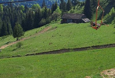 Teren de 3300 mp, în Piatra - 3