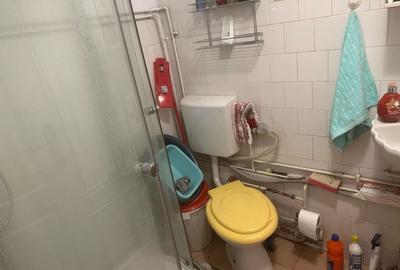 Casa 3 dormitoare, 128mp, 4750mp teren, piscina, cuptor de paine , Casolt - 14