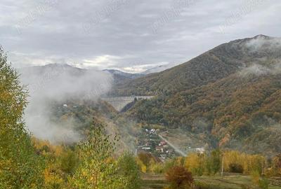 Proprietate de vanzare in zona Barajul Paltinu, Prahova, 0% comision - 5