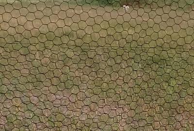 Vand casa in Obad - 4