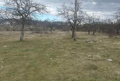 Teren de 4400 mp, în Voila - 2