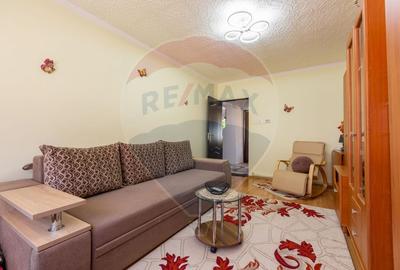 Apartament doua camere Vitrometan Medias - 2