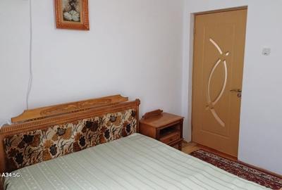 Apartament cu 2 camere, complet renovat, vedere superbă Băile Herculane - 11